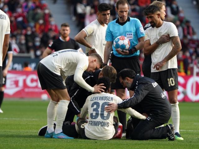 1647252812469054432.jpg 1647252812469054432.jpg